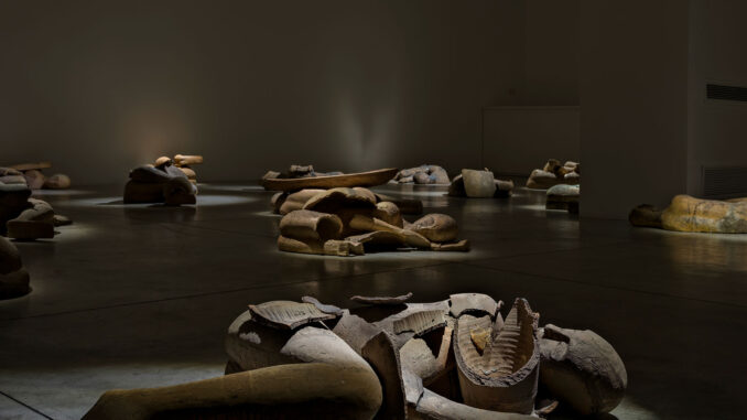 mostra 3d